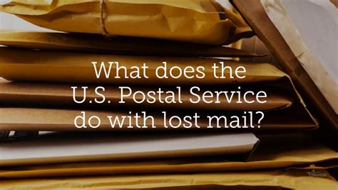 wpgdn com.|mail.com.